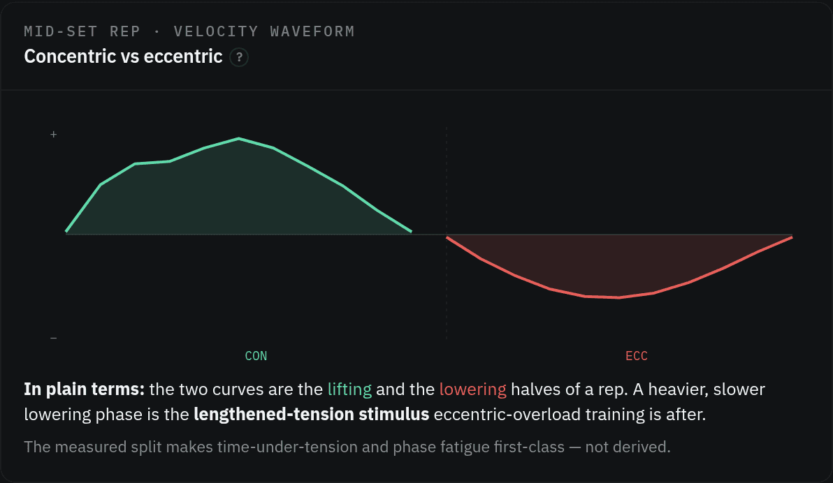 A chart splitting a single rep into its lifting phase (green) and lowering phase (red).